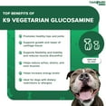 thumbnail image 4 of LIQUIDHEALTH Vegetarian Dog Glucosamine Joint Health Supplement Liquid Vitamin, 32 fl Oz, 4 of 7