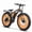 Orange, variant on 1500W Peak Power Electric Mountain Bike for Adults, 26" Fat Tire 48V 20Ah Battery, 30MPH Top Speed Up to 80-Mile Range, Dual Disc Brake & Front Suspension, NFC Unlock, Rear Rack E-Bike