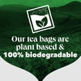 thumbnail image 5 of PG Tips Decaf Plant Based Biodegradable Decaffeinated Tea Bags 40's, British Import (Pack of 2), 5 of 5