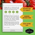 thumbnail image 2 of 5 Packs of Mortgage Lifter Tomato Seeds - Non-GMO Heirloom Full Sun Annual Vegetable, 2 of 7