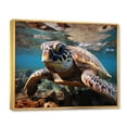 thumbnail image 2 of Designart "Hawaii Turle Of The Ocean" Animals Floater Framed Wall Art Print, 2 of 7