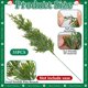 thumbnail image 2 of 45 Ramas Artificiales de Pino Navideño con Frutos Rojos, Hojas de Pino Norfolk Perennes Artificiales y Ciprés para Manualidades., 2 of 5