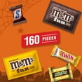 thumbnail image 3 of M&M's, Snickers, Twix & More Halloween Candy - 160 Bulk Bag, 3 of 9