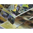 thumbnail image 4 of Ambesonne Tropical Quilted Bedspread Set 3 Pcs, Collage of Underwater, Queen Size, Yellow Blue, 4 of 5