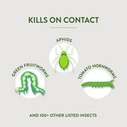 Garden Safe Brand Houseplant & Garden Insect Killer, 32 Ounces