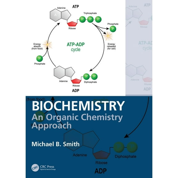 Biochemistry: An Organic Chemistry Approach, (Paperback)