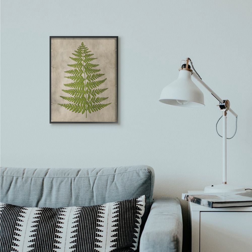 Stupell Industries Plant Drawing Green Parchment Design Framed Wall Art by Ziwei Li