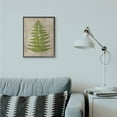 thumbnail image 2 of Stupell Industries Plant Drawing Green Parchment Design Framed Wall Art by Ziwei Li, 2 of 8