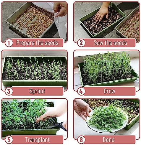 -Plastic Growing Trays, 5 Pack, Plant Tray, Seed Tray, Propagation Tray
