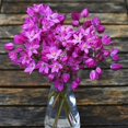thumbnail image 3 of Ostrowskianum Allium Flower Bulbs Jumbo Pack - 100 Bulbs per Pack - Attracts Butterflies and Hummingbirds - Deer Resistant - Good as Cut Flowers - Perennializing - Easy to Grow Live Plants, 3 of 7