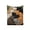 A, variant on huayou Cute Colorful Groups of Cats Sleeping Blanket, Soft, Lightweight, Comfy, for Camping, Hotel, Living Room, Home Decor