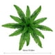 thumbnail image 3 of 1 paquete de helechos artificiales impermeables a la luz, color verde helecho, con helechos realistas, ideales, 3 of 8