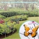 thumbnail image 4 of 26-27 Solar In-Ground Lamp Butterfly Shape Waterproof Garden Lights Solar Operated, 4 of 5