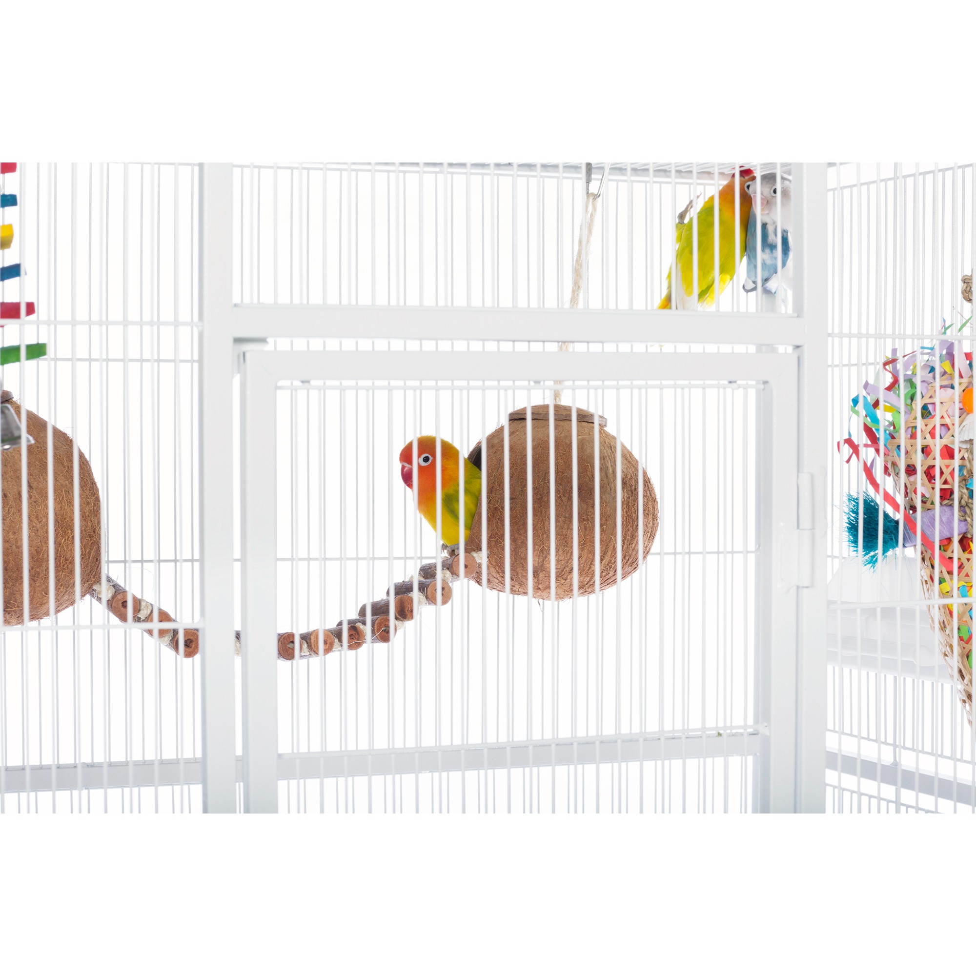 Prevue Pet Products Naturals Double Coconut with Ladder Bird Toy 62818