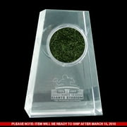 Notre Dame Game Model Football with Gold Foil Shamrock