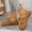 Khaki, variant on YOUYEDIAN Loafers for Women Fall Winter Plush Lined Warm Round Toe Fashion Comfy Flats Slip On Low Heel Versatile Casual Walking Shoes