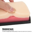 thumbnail image 3 of Skin Suture Model, 3 of 18