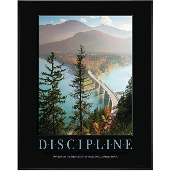 Iconic Arts Laminated 20x20 Poster: Discipline Bridge Motivational Poster - All Motivational Posters