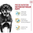thumbnail image 2 of Royal Canin Nourriture Sèche pour Chiots Breed Health Nutrition Rottweiler, Sac de 13,62 kg, 2 of 5