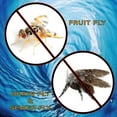 thumbnail image 4 of Fruit Fly & Drain Fly Killer - Simple & Safe Drain Gel Treatment – This Solution Eliminates Gross Fruit Flies, Drain Flies, Sewer Flies & Gnat Infestations From Any Drain. Fast & Easy (2.5 GALLON), 4 of 6