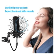 Microphone Condenser Professional Recording Studio Interface,Sound Card Podcasting Microfone