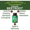 thumbnail image 2 of USDA Organic Beet Root Vegan Capsules. Beets Juice Powder Super Food Pills 1200 mg. Nitric Oxide Energy Boosting Beetroot Extract Capsules. Polyphenol Support Supplement for Women and Men, 2 of 7