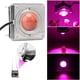 thumbnail image 3 of Lámpara de cultivo de plantas de espectro completo de 300W LED COB Flores Lámpara de cultivo de plántulas de vegetales hidropónicos de acuario, enchufe de EE. UU. Scienceny HA3441-02B, 3 of 6