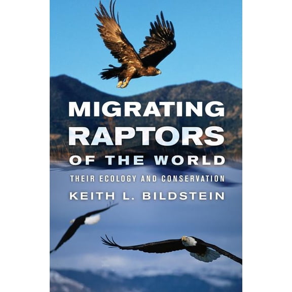 Migrating Raptors of the World: Their Ecology and Conservation, (Hardcover)
