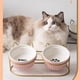 thumbnail image 2 of Comederos para perros y gatos bonitos Cuencos elevados de cerámica doble para gatos Cuencos para beber para mascotas Platos para agua y comida Prevenir la espondilosis cervical, 2 of 5
