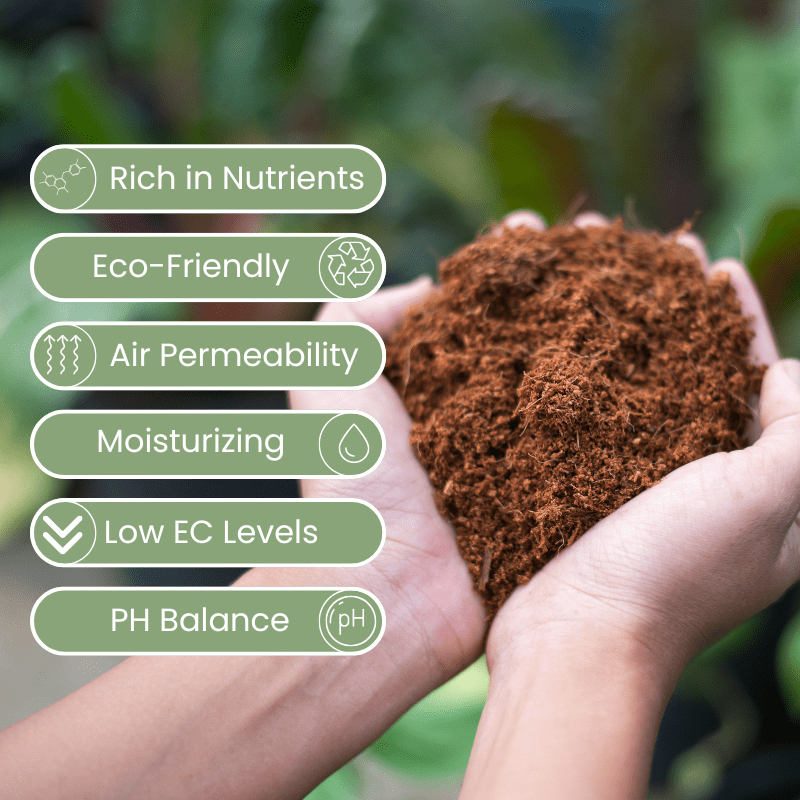 Premium Coco Coir Bricks,Compressed Coconut Husk Fiber, Seed Starting, Hydroponics, Soil Amendment - 8Pack
