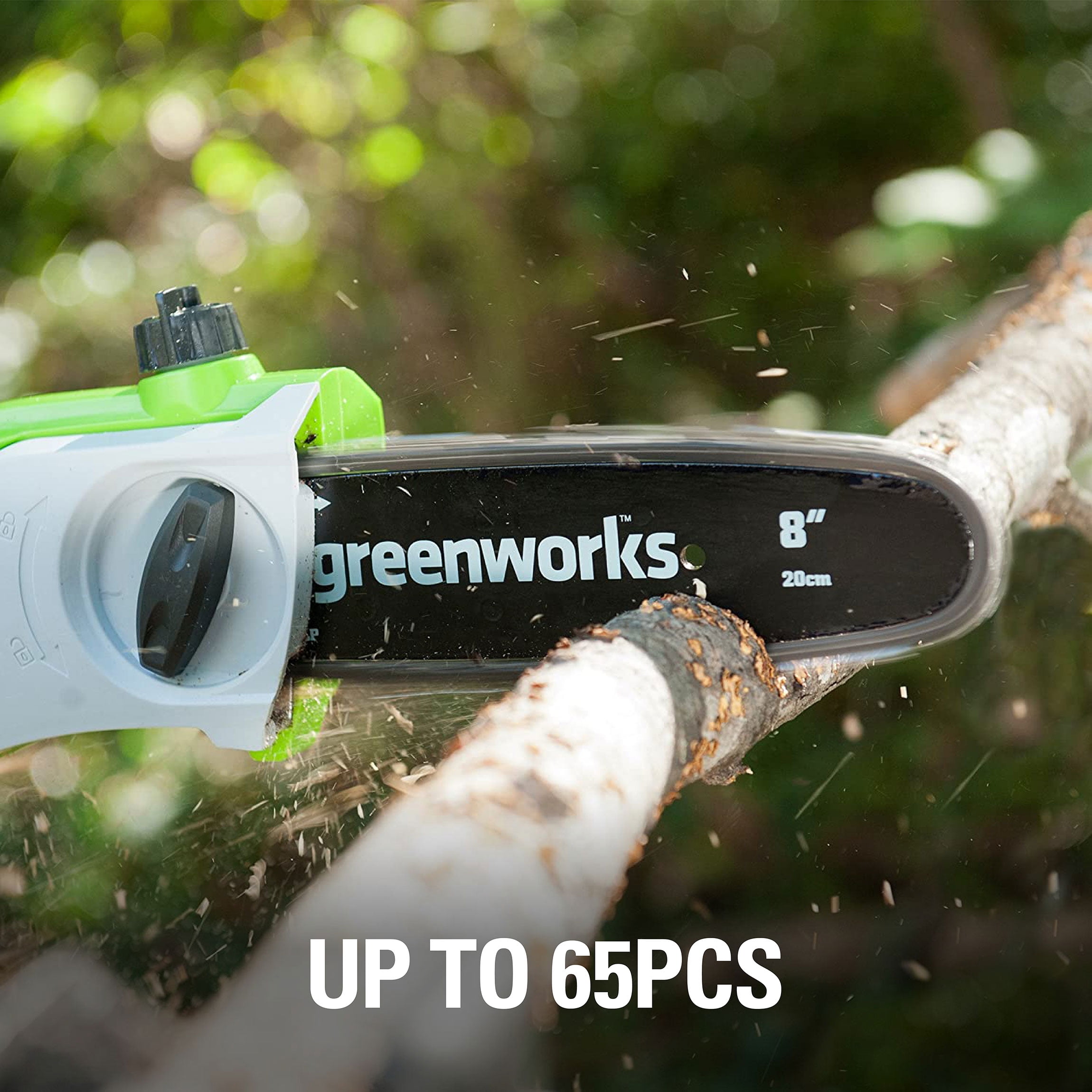 Greenworks 8\