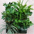 thumbnail image 4 of MesaSe Pot de Fleurs Mural Multi-Trous Conteneur Jardin Bonsaï Succulentes, 4 of 9
