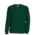thumbnail image 1 of James and Nicholson - Sudadera infantil de cuello redondo para niños niñas (Verde Oscuro), 1 of 2