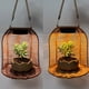 thumbnail image 3 of Cesta De Macetas Colgantes Con Luz Solar, Macetas De Flores De Linterna Colgante De Ratán, Canasta De Plantador De Decoración Interior Al Aire Libre Para El Balcón Jardín, 3 of 7