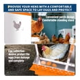 thumbnail image 3 of EastVita 8 Holes Chicken Nest Box Chicken Nesting Boxes for Laying Eggs with Ventilation Holes and AntiPeck Design Space-Saving Design Nesting Box Suitable for Hens and Ducks Orange, 3 of 7