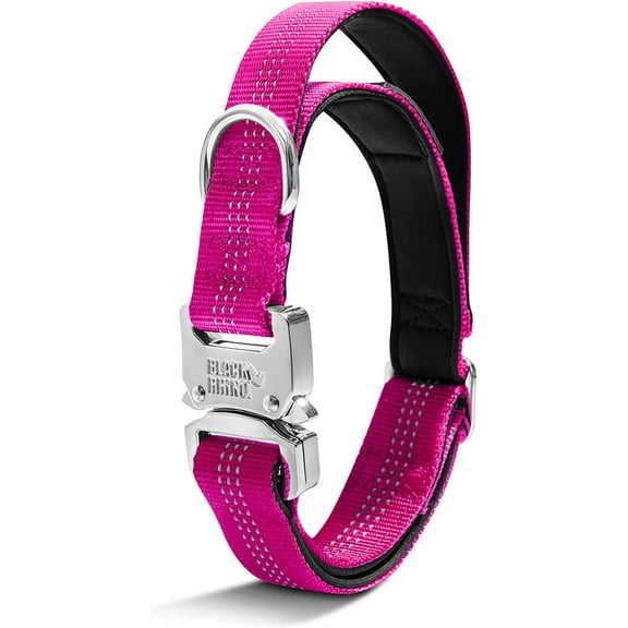 Black Rhino - Tactical Dog Collar Ultra-Soft Neoprene Padded Dog Collars for Medium, Large, XL Dogs | Heavy Duty Metal Buckle | Padded Handle for Dog Training (Large, Aqua)