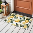 thumbnail image 5 of Lemon Bathroom Mat 2x3 FT, Non Slip Small Kitchen Mat, Summer Yellow Fruit Country Spring Leaf Plant Washable Soft Backed Front Door Throw Rug Non-Shedding Indoor Outdoor Doormat for Entryway Sink, 5 of 9