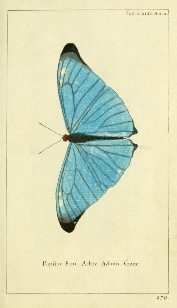 Naturgeschichte Des