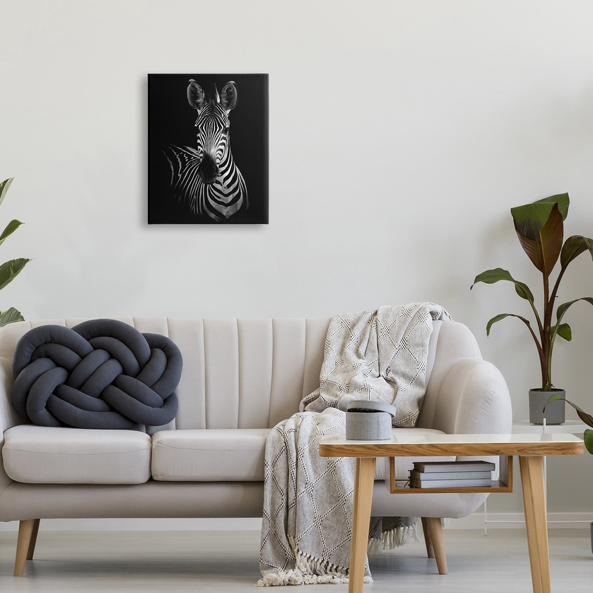 Stupell Industries Striking Greyscale Monochrome Zebra Photography Portrait , 24 x 30, Design by Incado