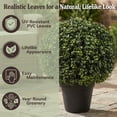 thumbnail image 3 of Pure Garden Set of Two 21-Inch Indoor/Outdoor Artificial Boxwood Plants, 3 of 8