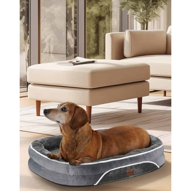 Cama ortopédica para mascotas pequeñas OhGeni Dog Couch, 22 pulgadas, gris