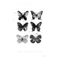 thumbnail image 3 of Charro, Mercedes Lopez 11x14 Black Modern Framed Museum Art Print Titled - Six Inky Butterflies, 3 of 5
