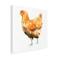 thumbnail image 2 of Emma Scarvey 'Wild Chicken II' Canvas Art, 2 of 3