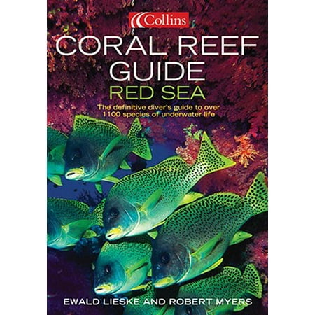 Coral Reef Guide Red Sea The Definitive Guide To Over