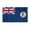 British Virgin Island 6x10 ft Flag, variant on AGAS Small British Virgin Islands 4x6 inch Flag mounted onto 11 inch Plastic Pole Printed Single Sided on Polyester Stitched Edges Blue National Virgin Islander Flag Hand Held Mini Small Stick Flags
