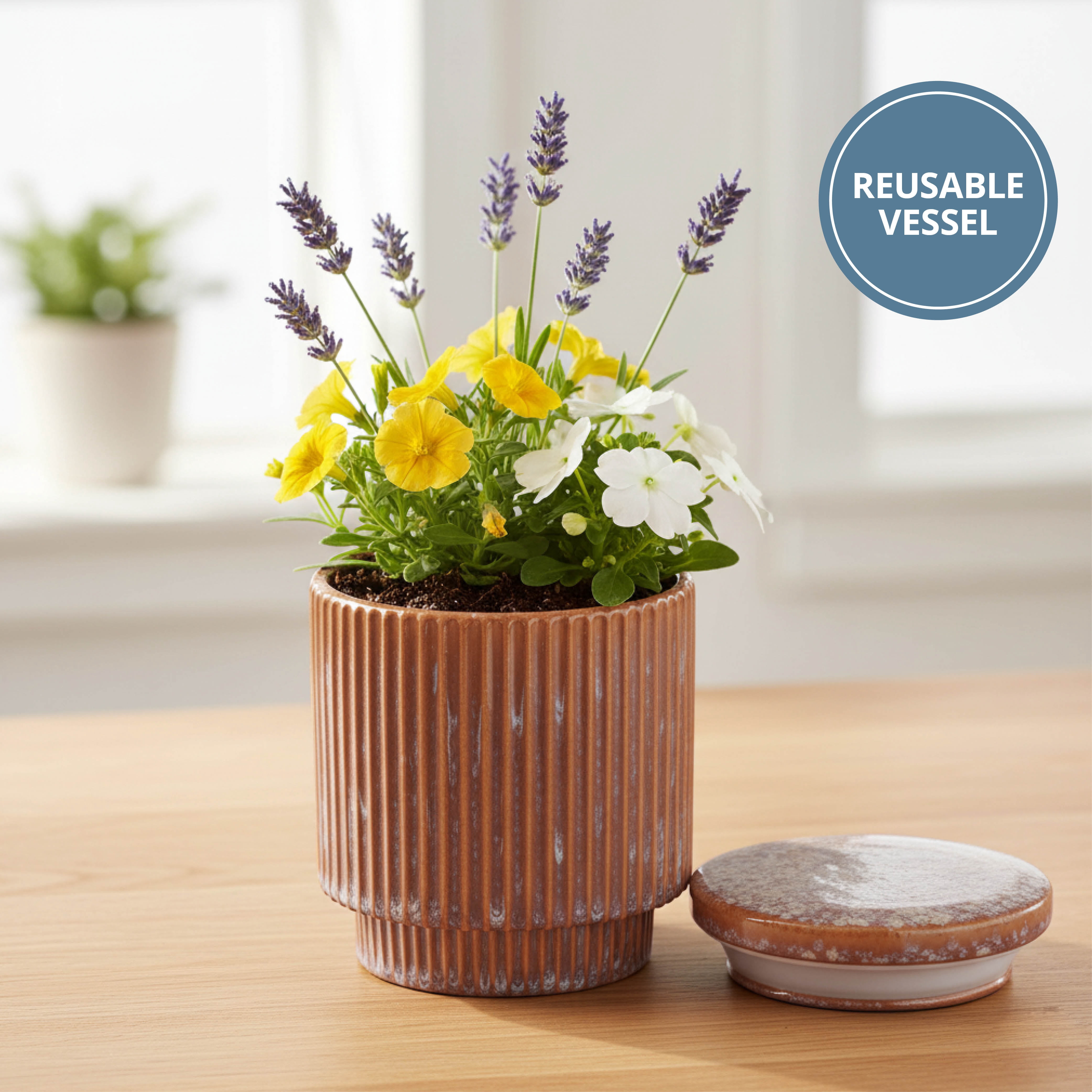 Better Homes & Gardens Ribbed 15 oz Single-Wick Pink Berries & Citronella Outdoor Jar Candle