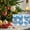 Sky Blue SB, variant on Xecvkr Christmas Tree Hanging Ball Ornaments Plastic Shatterproof 6Pc Blue Pink Sky Blue 2.36in Lightweight Multi Style Safe for Kids Pets Party Decor