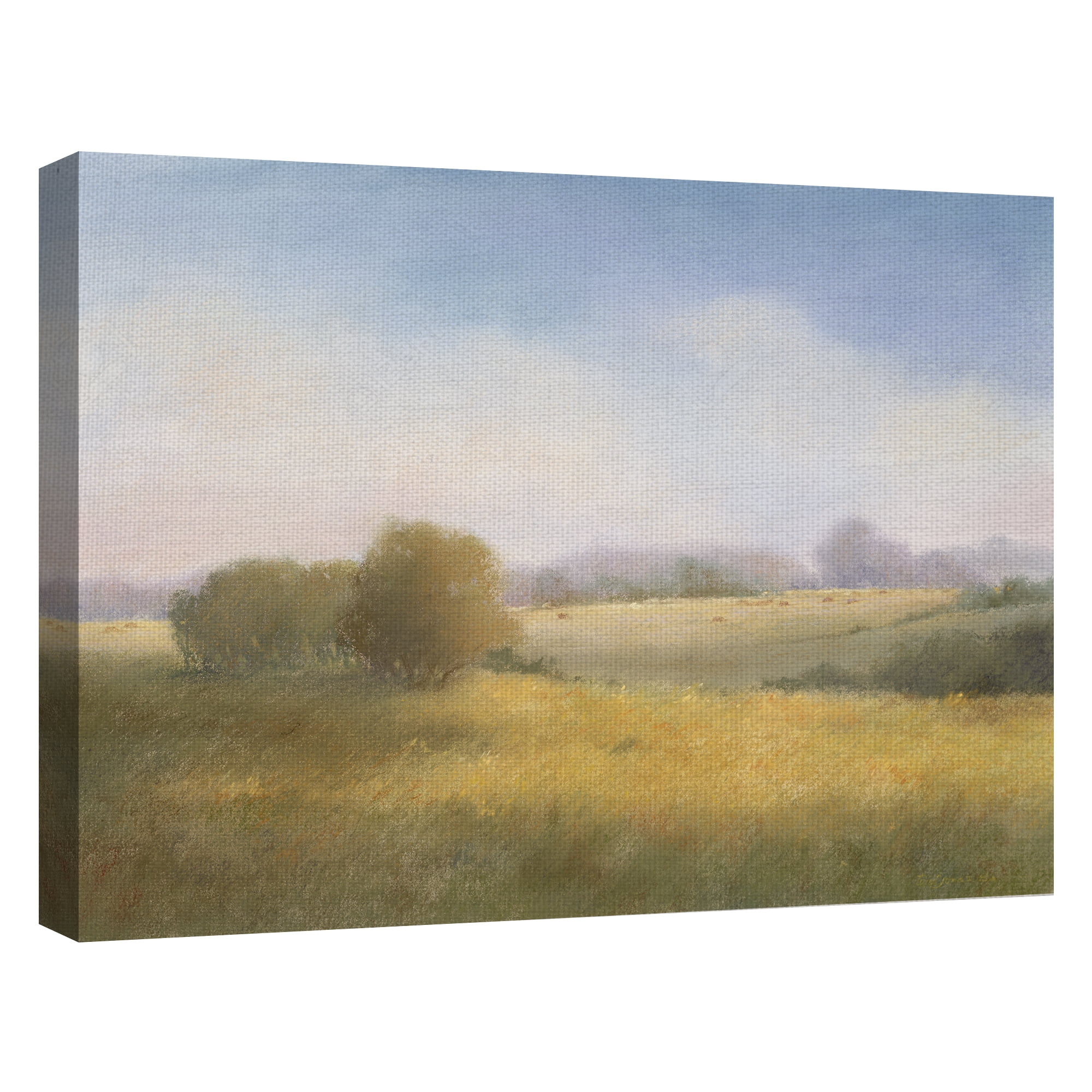 Masterpiece Art Gallery Summer Pastoral Sunny Hillside By Teri Jonas Canvas Art Print 30" x 40"