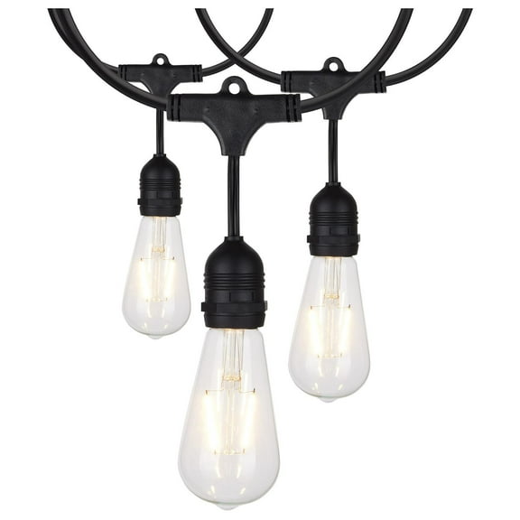 Satco 24Ft; LED String Light; 12 Vintage ST19 bulbs Included; 120 Volts - S8036