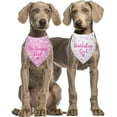 thumbnail image 6 of Birthday Girl Dog Bandanas Dog Birthday Girl Dog Happy Birthday Dog Bandana for Girls Photo Prop Dog Birthday Supplies Dog Scarf for Dog Lover Pet Lover Gifts Pack of 2, 6 of 6